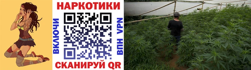 Где купить Сибай Псилоцибиновые грибы  Cocaine  АМФЕТАМИН  ГАШ  A-PVP  Канабис 