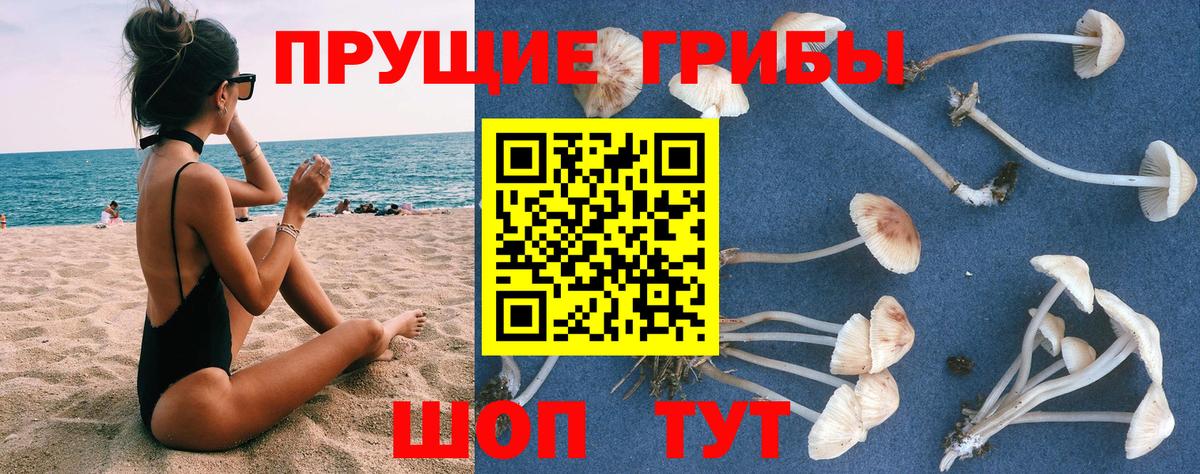 Галлюциногенные грибы мухоморы Сибай