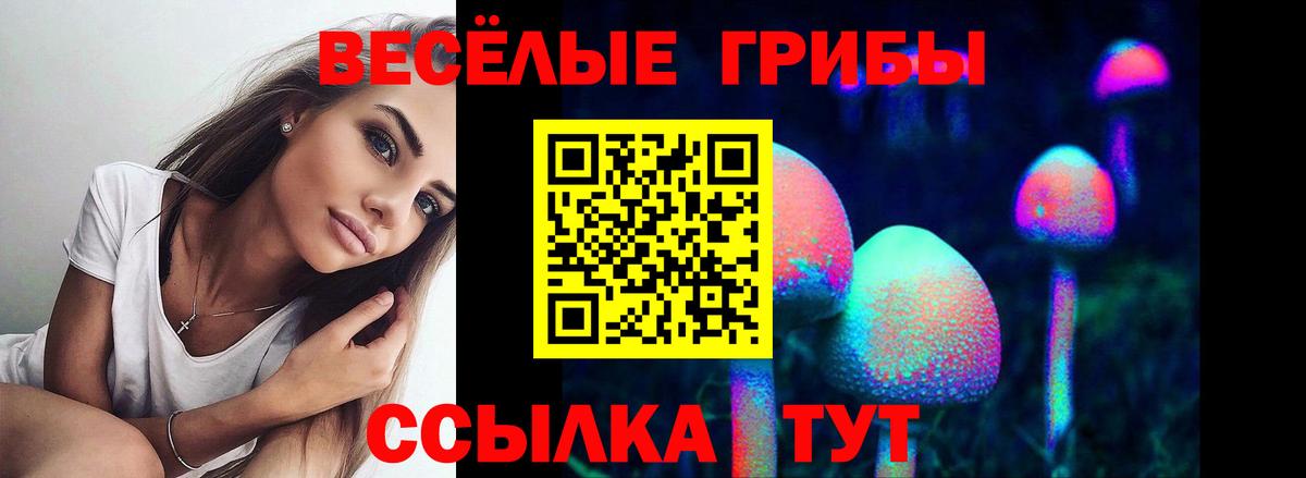 Галлюциногенные грибы мицелий  Псилоцибиновые грибы прущие грибы  Сибай  Вход с VPN 